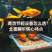 高效节能设备怎么选？全面解析核心特点（图4）