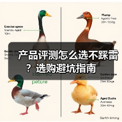 产品评测怎么选不踩雷？选购避坑指南（图1）