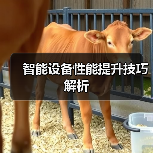 智能设备性能提升技巧解析（图3）