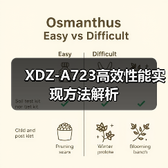 XDZ-A723高效性能实现方法解析（图1）