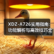 XDZ-A726实用指南：功能解析与高效技巧全收录（图3）