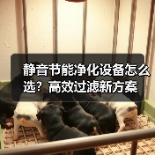 静音节能净化设备怎么选？高效过滤新方案（图1）