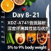 XDZ-A741音质解析：深度评测其性能与优势（图3）