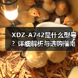XDZ-A742是什么型号？详细解析与选购指南（图2）