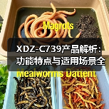 XDZ-C739产品解析：功能特点与适用场景全了解（图1）