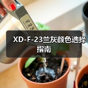 XD-F-23兰灰颜色选择指南（图2）