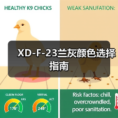 XD-F-23兰灰颜色选择指南（图3）