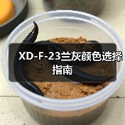 XD-F-23兰灰颜色选择指南（图4）