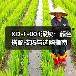 XD-F-003深灰：颜色搭配技巧与选购指南（图3）