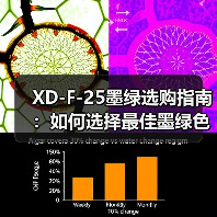 XD-F-25墨绿选购指南：如何选择最佳墨绿色产品？（图2）