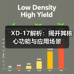 XD-17解析：揭开其核心功能与应用场景（图4）