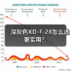 深灰色XD-F-28怎么选更实用？（图1）