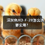 深灰色XD-F-28怎么选更实用？（图2）