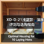 XD-D-21浅蓝款：深度评测与选购指南（图1）