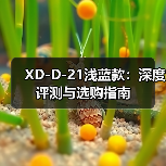 XD-D-21浅蓝款：深度评测与选购指南（图2）