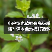 小户型也能拥有高级质感？深木色地板打造梦中情屋（图3）
