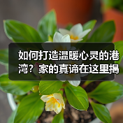 如何打造温暖心灵的港湾?家的真谛在这里揭晓(图1) 如何打造温暖心灵的港湾?家的真谛在这里揭晓(图1)