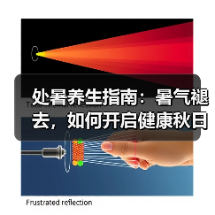 处暑养生指南:暑气褪去,如何开启健康秋日?(图1) 处暑养生指南:暑气褪去,如何开启健康秋日?(图1)