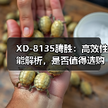 XD-8135腾胜：高效性能解析，是否值得选购？（图2）