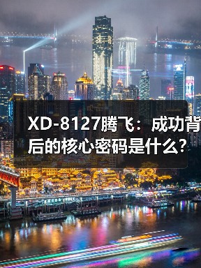 XD-8127腾飞：成功背后的核心密码是什么？（图2）