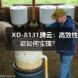 XD-8131腾云：高效性能如何实现？（图1）