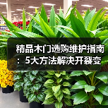 精品木门选购维护指南：5大方法解决开裂变形问题（图3）