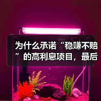 为什么承诺“稳赚不赔”的高利息项目,最后却总让我血本无归?(图1) 为什么承诺“稳赚不赔”的高利息项目,最后却总让我血本无归?(图1)