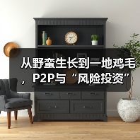 从野蛮生长到一地鸡毛,P2P与“风险投资”究竟走错了哪一步?(图2) 从野蛮生长到一地鸡毛,P2P与“风险投资”究竟走错了哪一步?(图2)