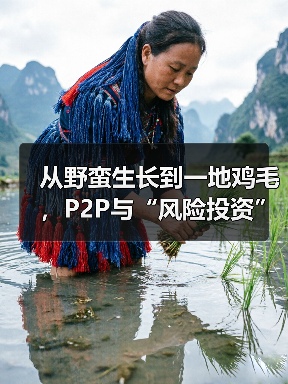 从野蛮生长到一地鸡毛,P2P与“风险投资”究竟走错了哪一步?(图3) 从野蛮生长到一地鸡毛,P2P与“风险投资”究竟走错了哪一步?(图3)