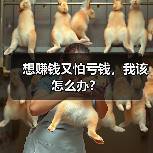 想赚钱又怕亏钱，我该怎么办？（图4）