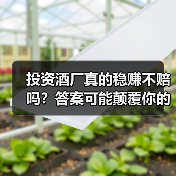 投资酒厂真的稳赚不赔吗?答案可能颠覆你的财富认知(图4) 投资酒厂真的稳赚不赔吗?答案可能颠覆你的财富认知(图4)