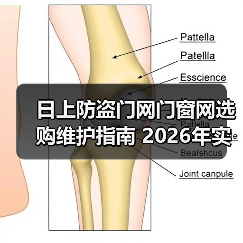 日上防盗门网门窗网选购维护指南 2026年实用技巧解析（图3）